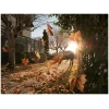 Stihl BR200