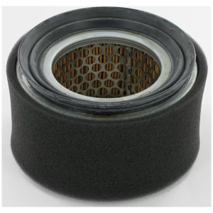 Luftfilter til Lombardini ( KO2175240-S , KO2175240-S )